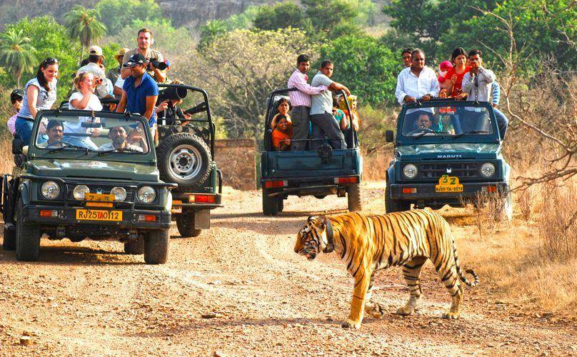 Places to visit in Jim Corbett